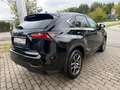 Lexus NX 300h - TÜV Neu - Lexus Relax Garantie - Panorama - Schwarz - thumbnail 5
