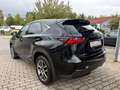 Lexus NX 300h - TÜV Neu - Lexus Relax Garantie - Panorama - Schwarz - thumbnail 7