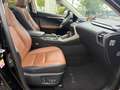 Lexus NX 300h - TÜV Neu - Lexus Relax Garantie - Panorama - Schwarz - thumbnail 12