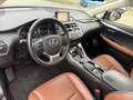 Lexus NX 300h - TÜV Neu - Lexus Relax Garantie - Panorama - Schwarz - thumbnail 10
