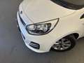 Kia Rio 5p 1.1 crdi Active - thumbnail 8