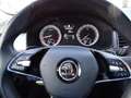 Skoda Kodiaq 1.5 TSI ACT Clever Automatik Weiß - thumbnail 14