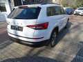 Skoda Kodiaq 1.5 TSI ACT Clever Automatik Weiß - thumbnail 5