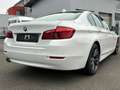 BMW 530 d Lim. SAG *Bi-Xenon*NaviProf.*Leder braun* Белый - thumbnail 6