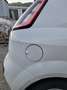Fiat Punto Evo Punto Evo 3p 1.4 Dynamic Gpl 77cv - thumbnail 16