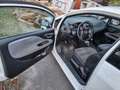 Fiat Punto Evo Punto Evo 3p 1.4 Dynamic Gpl 77cv - thumbnail 6