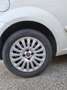Fiat Punto Evo Punto Evo 3p 1.4 Dynamic Gpl 77cv - thumbnail 19