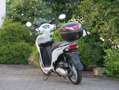 Honda Vision 110 White - thumbnail 5