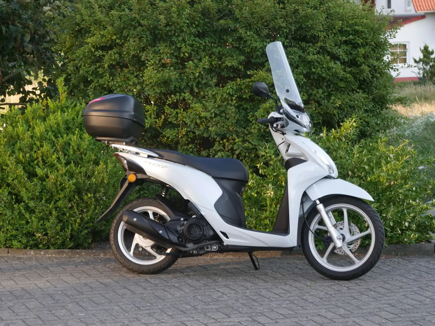 Honda Vision 110 White - 2