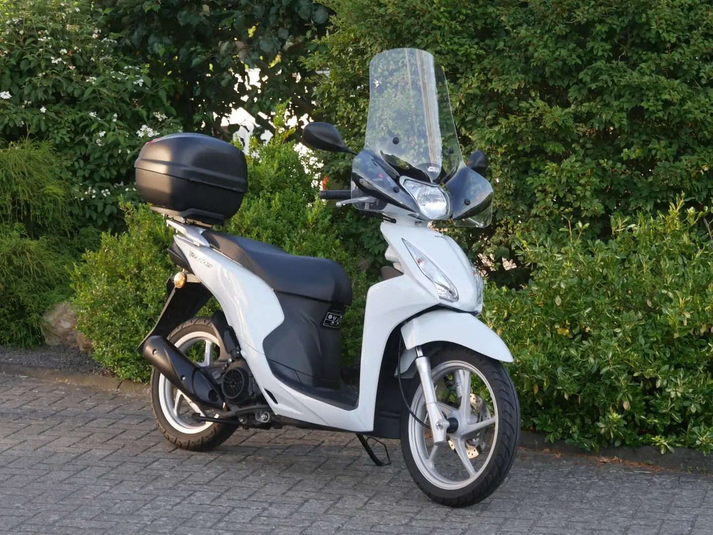 Honda Vision 110 White - 1