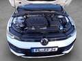 Volkswagen Golf R R-Line 2.0TDI 110 kW/150 PS 7-Gang-DSG BlackS Weiß - thumbnail 22