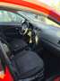 Volkswagen Polo Polo 1.4 TDI BMT Advance 66kW Advance Rojo - thumbnail 8