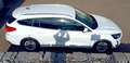 Ford Focus Traveller 1,5 EcoBlue Titanium X Weiß - thumbnail 6