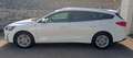 Ford Focus Traveller 1,5 EcoBlue Titanium X Weiß - thumbnail 3