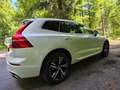 Volvo XC60 XC60 D4 R-Design Geartronic R-Design Weiß - thumbnail 14