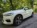 Volvo XC60 XC60 D4 R-Design Geartronic R-Design Weiß - thumbnail 1