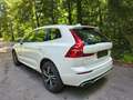 Volvo XC60 XC60 D4 R-Design Geartronic R-Design Weiß - thumbnail 15