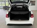 Mercedes-Benz C 43 AMG T 4MATIC Aut.*Panoramadach*Sportauspuff*Ambient... Weiß - thumbnail 6