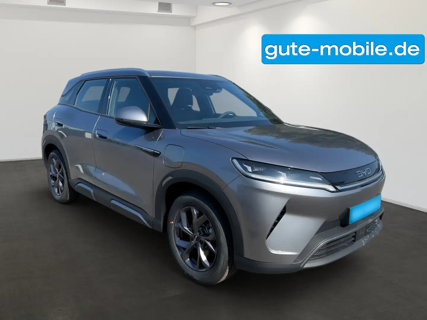 BYD Active SOFORT VERFÜGBAR! Сірий - 2