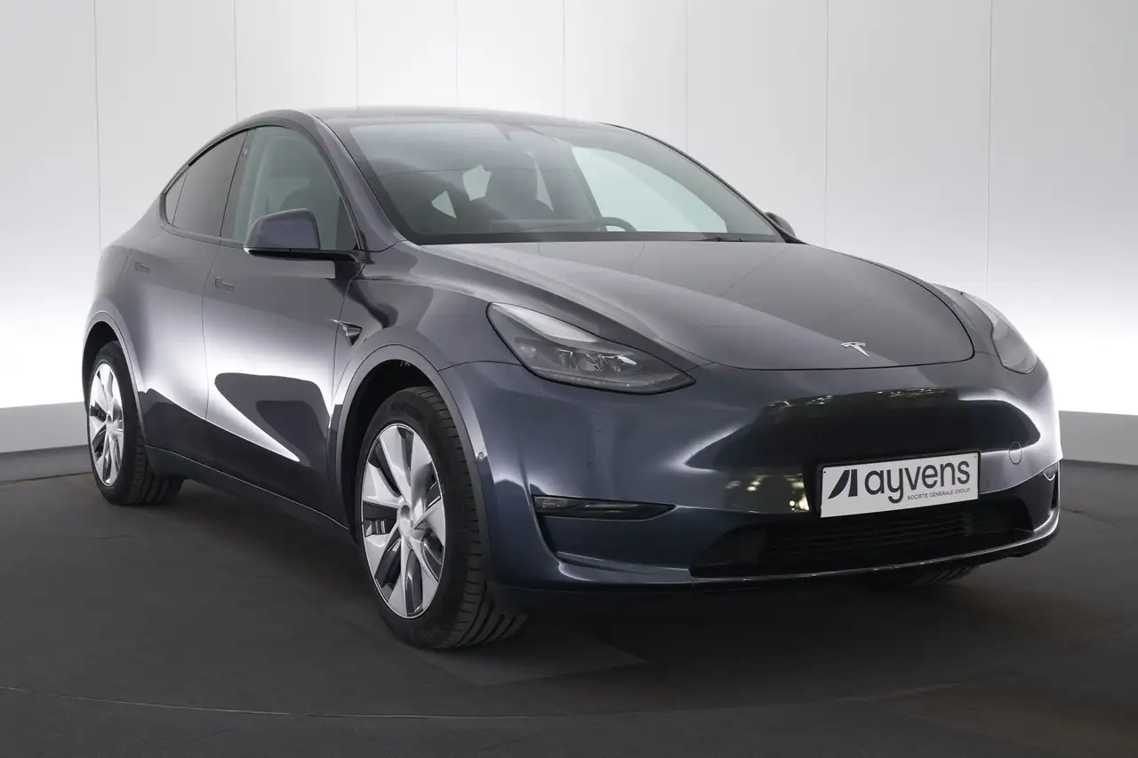 Tesla Model Y Long Range Dual Motor LEDER/CUIR LED GPS PDC CAM P, миниатюра 3