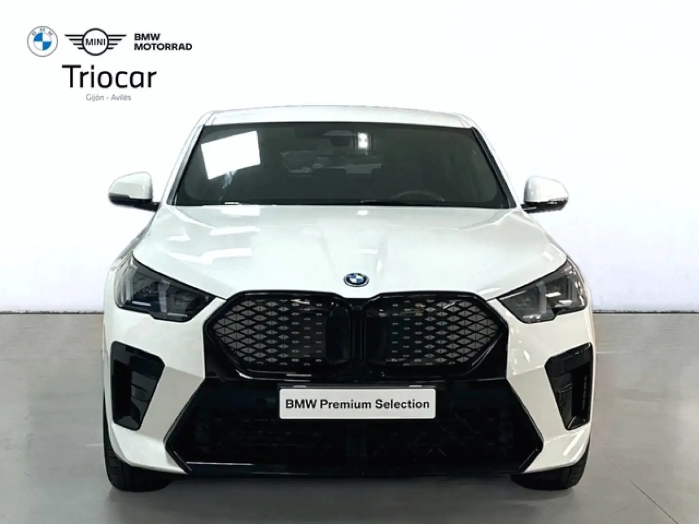 BMW iX2 eDrive20A Blanco - 2