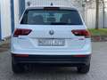 Volkswagen Tiguan 2.0 TSI Comfortline 4M+AHK+StandH+ACC+Cam+LaneA Weiß - thumbnail 6