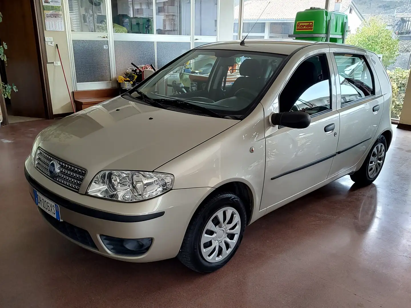 Fiat Punto Punto 5p 1.2 natural power Classic Gold - 1