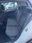 Volkswagen Golf Golf 5p 1.6 tdi Trendline 90cv Bianco - thumbnail 9