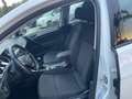 Volkswagen Golf Golf 5p 1.6 tdi Trendline 90cv Bianco - thumbnail 14