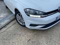 Volkswagen Golf Golf 5p 1.6 tdi Trendline 90cv Bianco - thumbnail 6