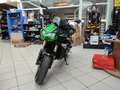 Kawasaki Z H2 Vert - thumbnail 4