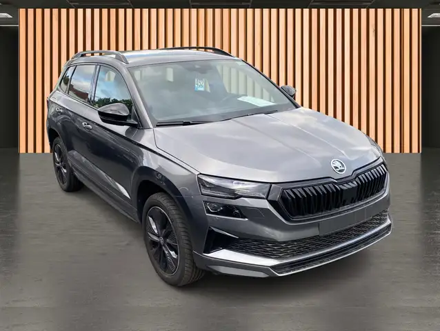 Skoda Karoq view 6