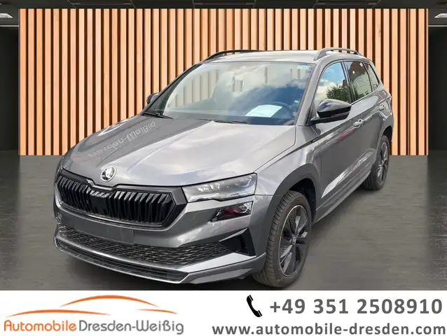 Skoda Karoq main image