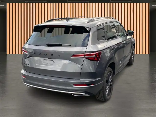 Skoda Karoq view 5