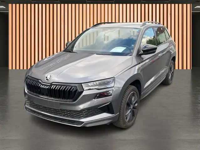 Skoda Karoq view 2