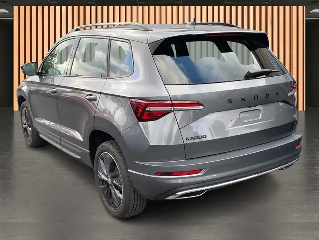 Skoda Karoq view 4