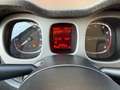 Fiat Panda Cross 1.0 Hybrid CROSS Gris - thumbnail 18