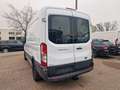 Ford Transit Kasten 350 L2H2 Trend Blanco - thumbnail 5