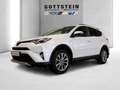 Toyota RAV 4 2.5 4x2 Hybrid Executive Aut. Weiß - thumbnail 3