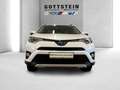 Toyota RAV 4 2.5 4x2 Hybrid Executive Aut. Weiß - thumbnail 1