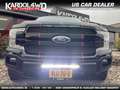 Ford F 150 USA 3.5 V6 Ecoboost Platinum SuperCrew | Full Opti Schwarz - thumbnail 10