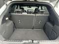 Ford Puma 1.5 EcoBoost ST-X 200pk PANO*CAMERA*RECARO SCHAALS Wit - thumbnail 12
