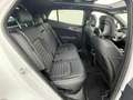 Kia Sportage 1.6 TGDi PHEV AWD AT GT-line Plus (TETTO) Bianco - thumbnail 5