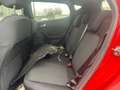 Ford Fiesta Fiesta 1.1 85 CV 5 porte ST-Line Rosso - thumbnail 9