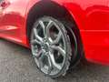 Ford Fiesta Fiesta 1.1 85 CV 5 porte ST-Line Rosso - thumbnail 6