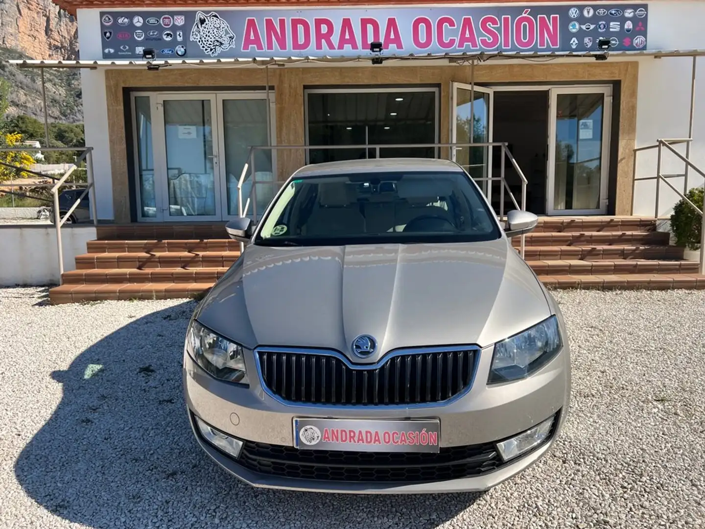 Skoda Octavia 2.0TDI CR Elegance DSG Beige - 1