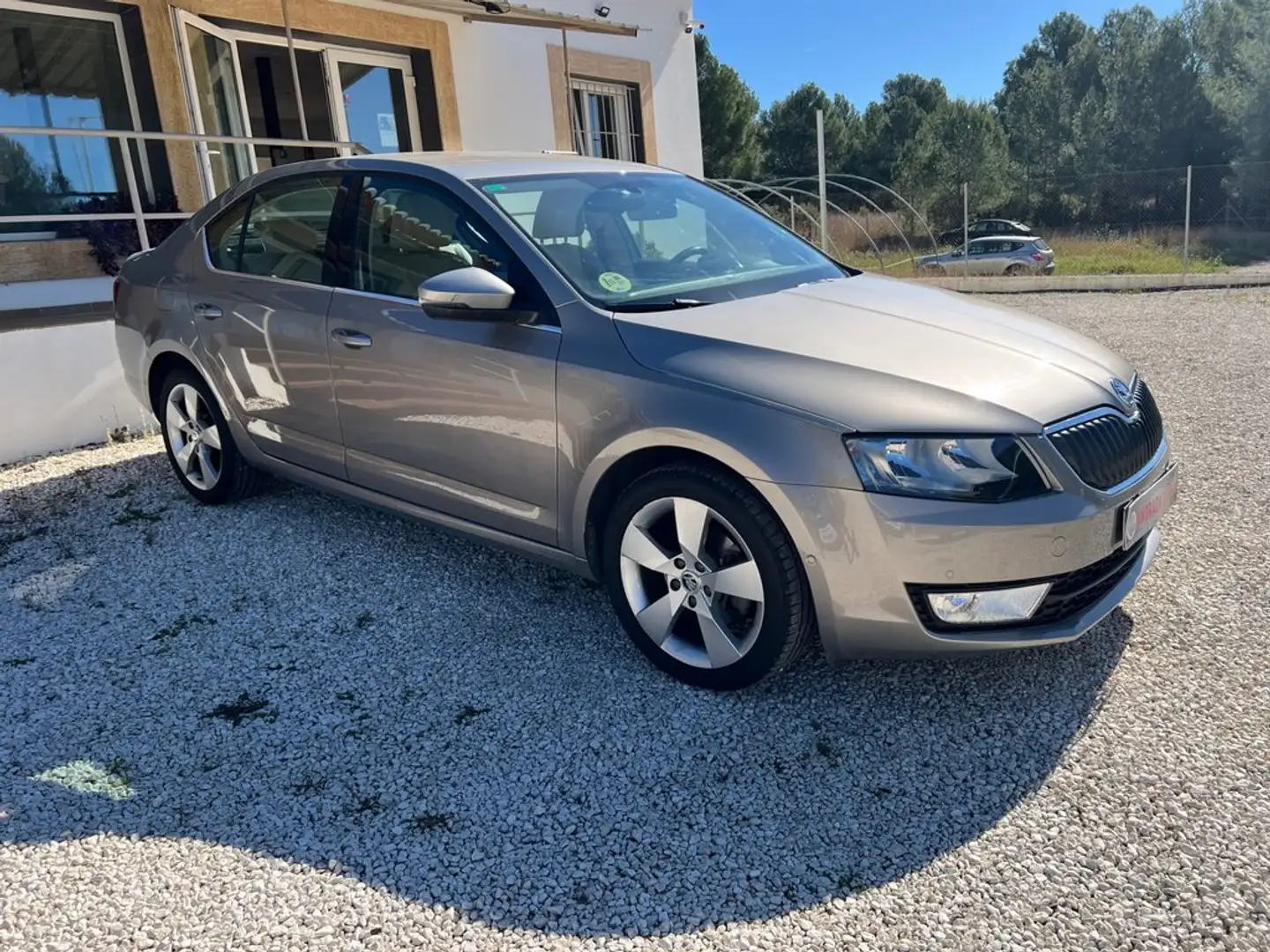 Skoda Octavia 2.0TDI CR Elegance DSG Beige - 2