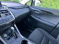 Lexus NX 300h Business Line GARANTIE Bruin - thumbnail 16