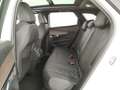 Peugeot 3008 3008 1.6 hybrid4 phev GT Pack 300cv e-eat8 Bianco - thumbnail 16