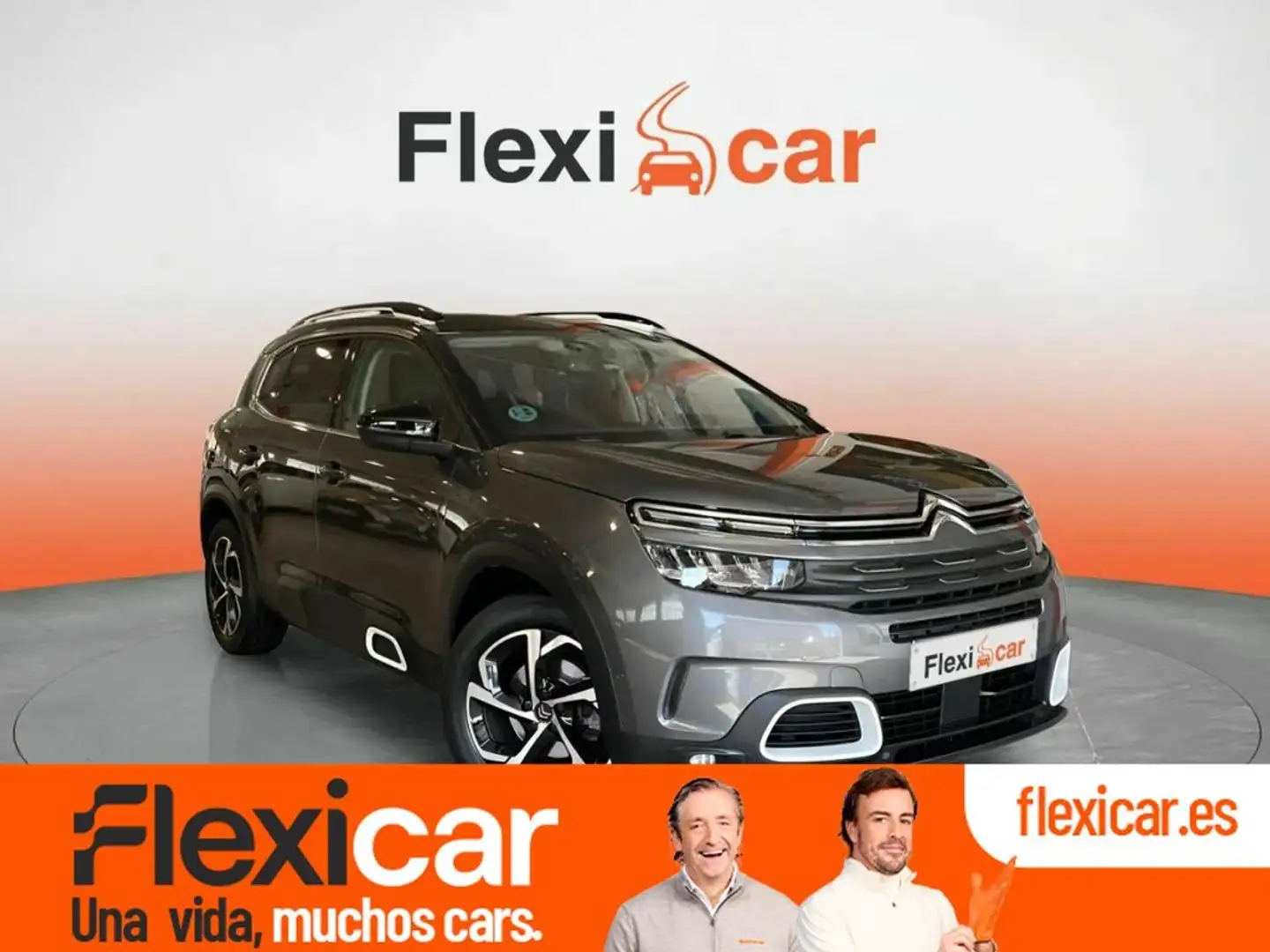 Citroen C5 Aircross PureTech S&S C-Series EAT8 130 Gris - 1